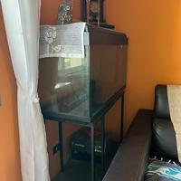 Acquario