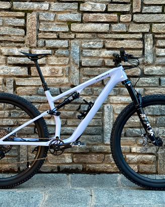 Specialized epic 8 evo