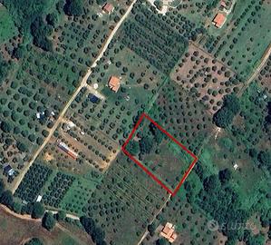 Casa singola - Manciano