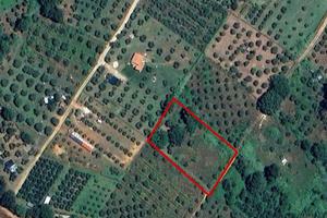 Casa singola - Manciano