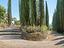 Immagine 20