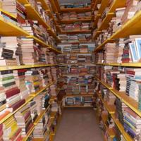 Lotto blocco stock 50 libri misti romanzi e non