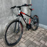 Bici elettrica MTB