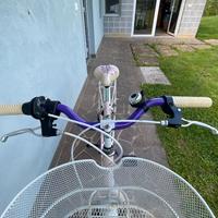 Bottecchia Fleur ragazza