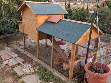 Gabbia per galline