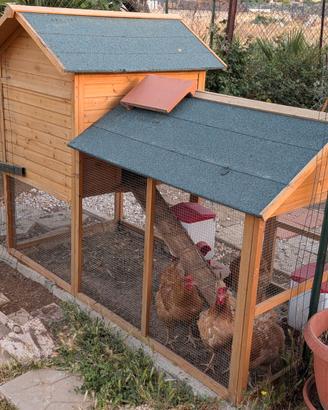 Gabbia per galline