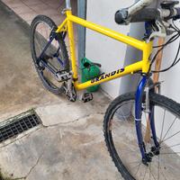 Bicicletta MTB GRANDIS taglia M