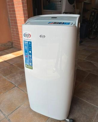 condizionatore pinguino Argo Maxime Plus 13000