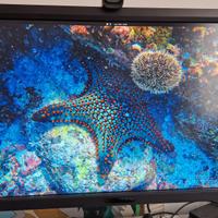 Monitor BenQ BL2711U LED Monitor 27"  3840 x 2160