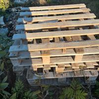 Pallet epal