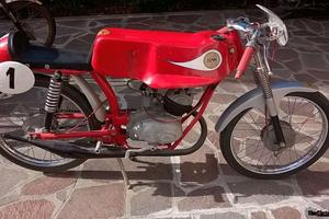 Demm 75 Corsa 3v