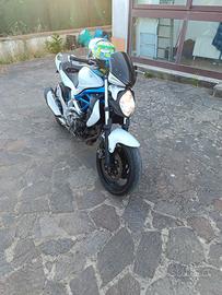 Suzuki gladius 650