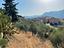 Immagine 9