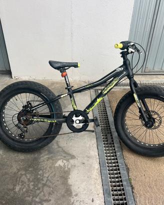 Fat bike ruote da 20