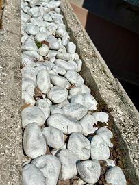 Sassi bianchi decorativi giardino