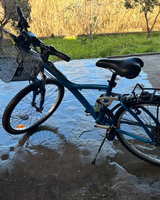 Biicicletta BTWIN