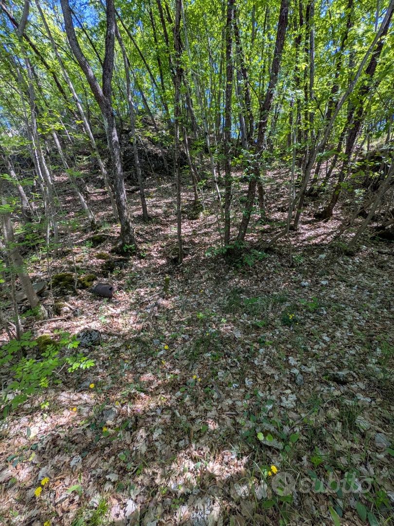 Terreno con bosco sul fiume - Vista 4