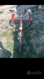 bici da disabili 