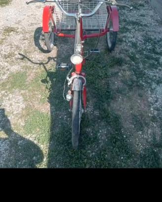 bici da disabili 