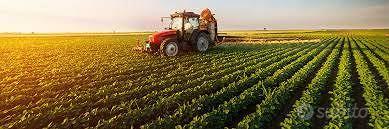 Rif.3635| terreno agricolo chioggia - Altro