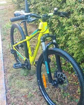 bicicletta bambino  