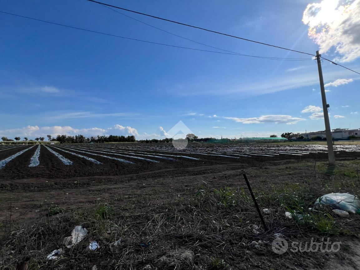 TER. AGRICOLO A MESAGNE - Vista 4