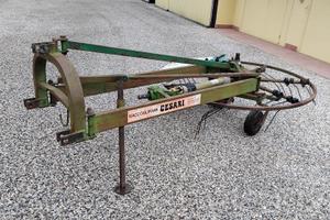 Girorami cesari 170