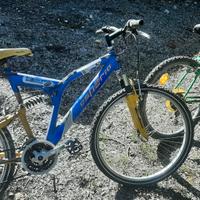 bicicletta 21 velocita