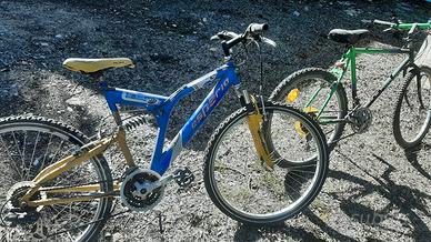 bicicletta 21 velocita