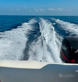 COVERLINE PESCOSA 6 metri con motore 4T e carrello