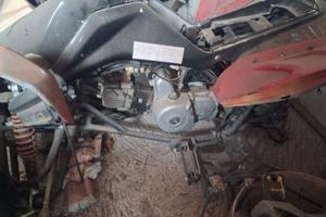 Quad 90cc e 110cc
