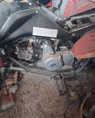 Quad 90cc e 110cc