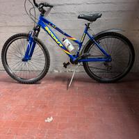 Mountain Bike Donna Scout 26