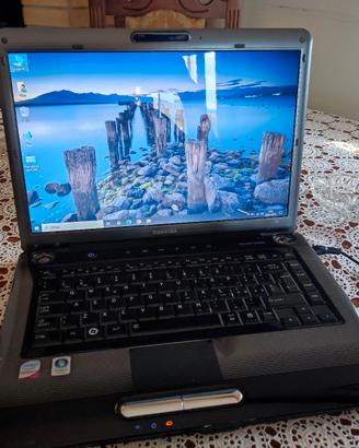 portatile Toshiba 