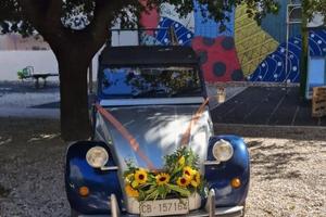 Citroen 2cv Charleston