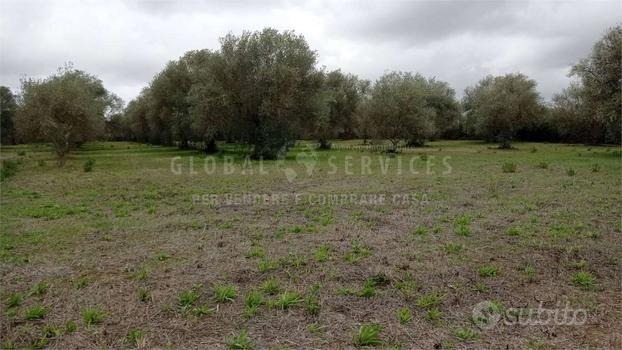 Terreno pianeggiante località Ungias