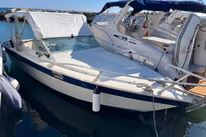 Fiart 23