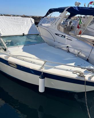 Fiart 23