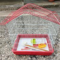 Gabbia uccelli
