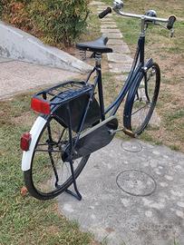 bicicletta elegante da signora