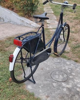 bicicletta elegante da signora