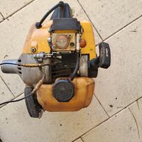 motore per despuglistore