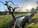 villa-con-giardino-fermo