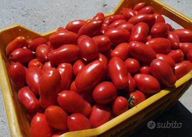 Pomodori per salsa/bottiglie