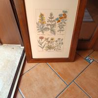 quadro   con fiori dipinti su cartoncino 