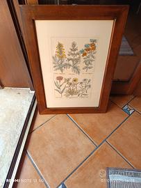 quadro   con fiori dipinti su cartoncino 