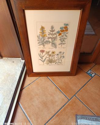 quadro   con fiori dipinti su cartoncino 