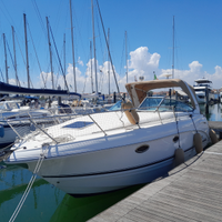 Chaparral 290 diesel