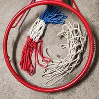 Canestro regolamentare 