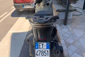 SH 350 Sport